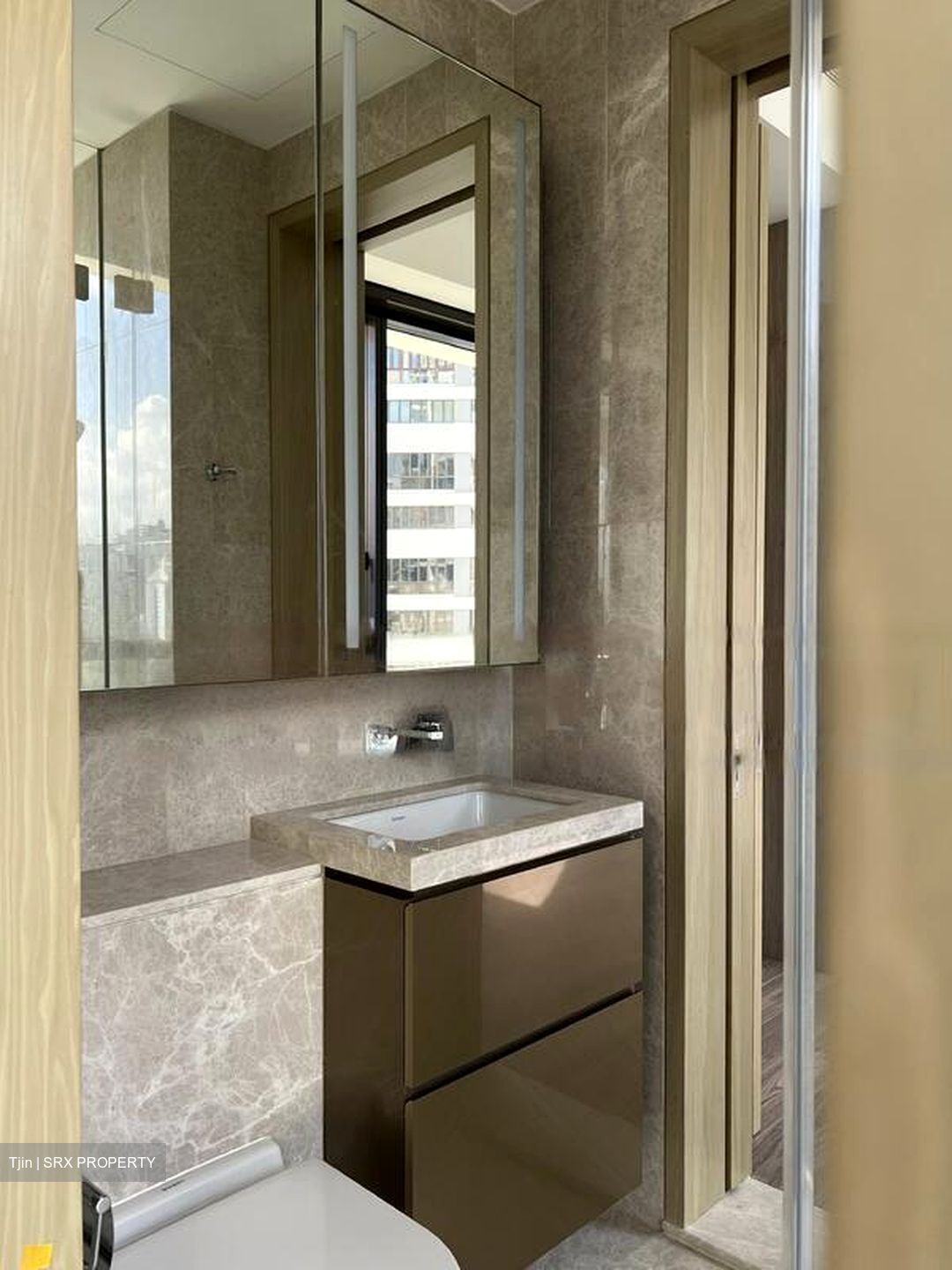 Klimt Cairnhill (D9), Apartment #462821711